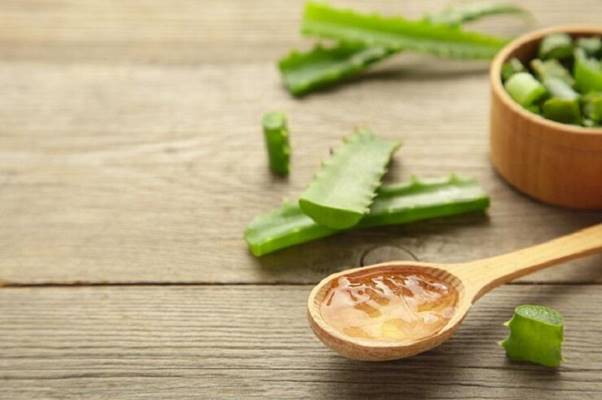 Nghệ tươi trộn cùng gel lô hội giúp trị mụn hiệu quả